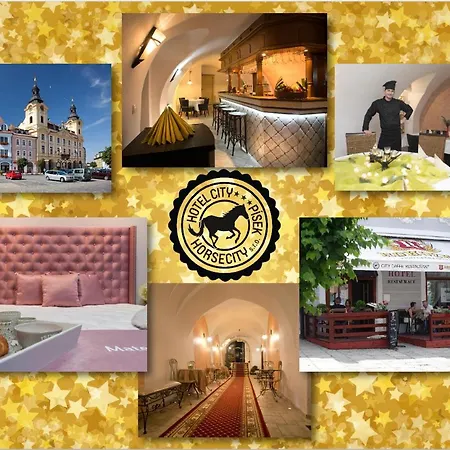 Hotel City Pisek 3*