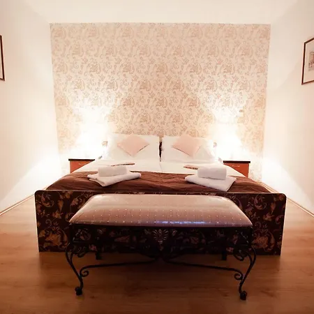 Hotel City Pisek 3* 피세크