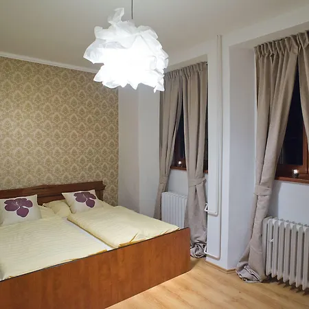 Hotel City Pisek 호텔