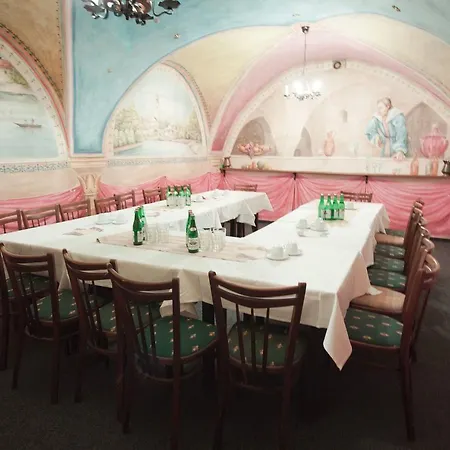 호텔 Hotel City Pisek