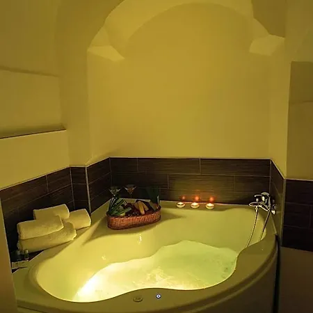 Hotel City Pisek 3* 피세크