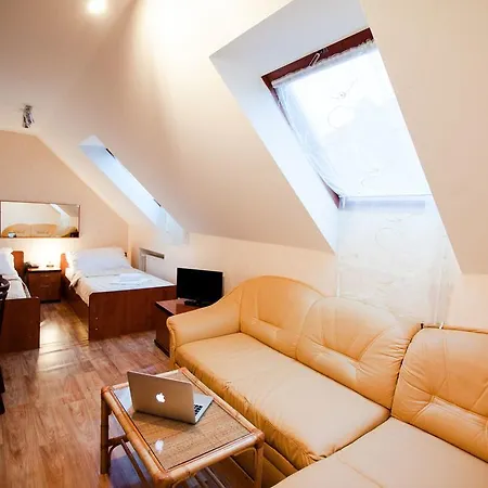Hotel City Pisek 호텔 피세크