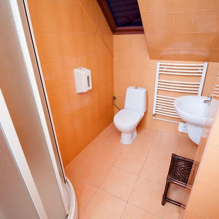 호텔 Hotel City Pisek 3*