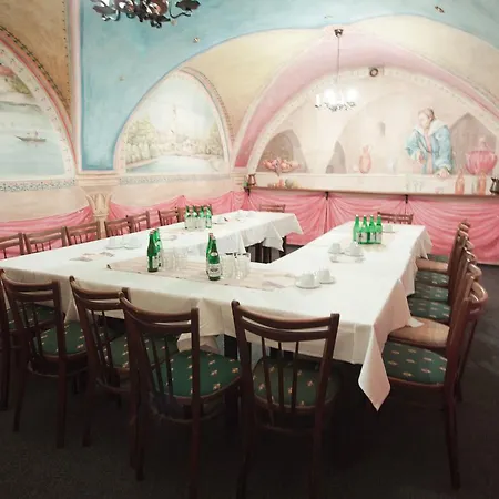 Hotel Hotel City Pisek 3*