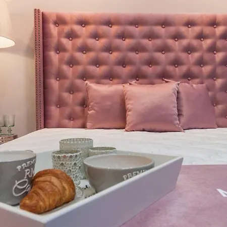 Hotel City Pisek 호텔 3*