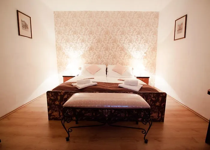 Hotel City Pisek 3* بايسك
