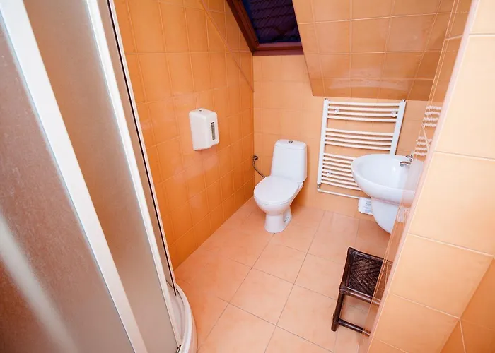 فندق Hotel City Pisek