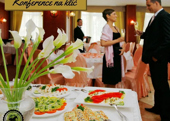 Hotel City Pisek 3*